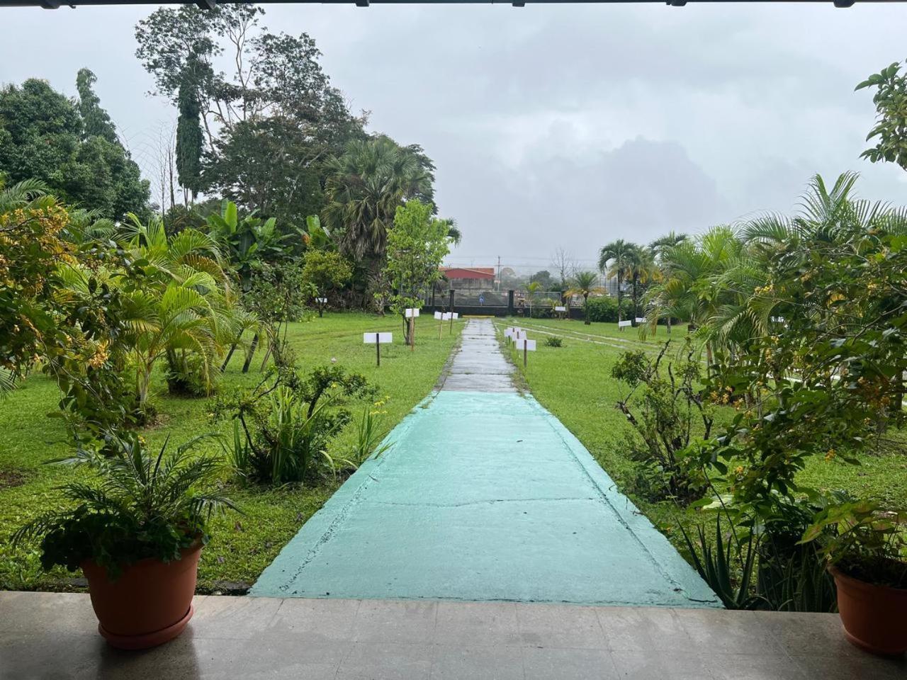 Casa Eva Lodging Costa Rica San Isidro De El General エクステリア 写真